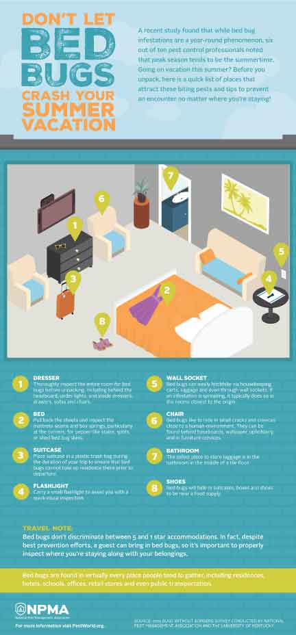 Infographic courtesy of PestWorld.org. Learn more about bed bugs: http://www.pestworld.org/all-things-bed-bugs